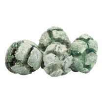 Itens Cones de cipreste fosco decoração natural 3cm verde 500g