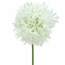 Itens Cebola Ornamental Allium branco artificial Ø12cm Alt.62cm