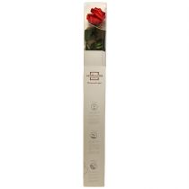 Itens Rosa Infinity com Folhas Preservadas Amorosa Vermelho C54cm