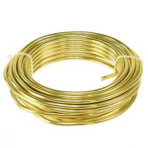 Itens Arame de alumínio dourado para artesanato, Ø5mm, 500g – Perfeito para joias, arranjos florais e decoração.