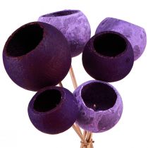 Itens Copo Bell em palito Decoração exótica seca Purple Berry 44cm 15 un