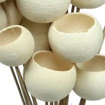 Bell Cup Mix branqueado em uma vara 15pcs