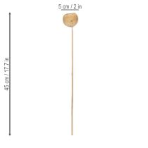 Itens Mix de cogumelos Bell Cup em haste, variedades exóticas naturais, 15 unidades.