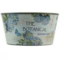 Itens Vaso para flores de hortênsias redondo de plástico Ø21cm Alt.11cm