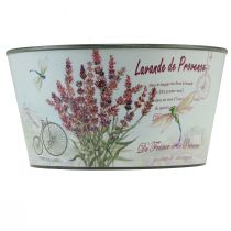 Itens Vaso de flores de plástico lavanda redondo Ø21cm Alt.11cm