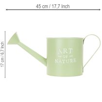Itens Vaso de flores, regador decorativo, floreira de zinco verde menta, Ø16,5 cm
