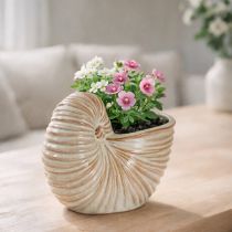 Itens Vaso de cerâmica com desenho de caracol para arranjos de plantas especiais, 21 cm