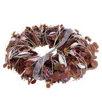 Itens Brachyciton amora congelada 500g