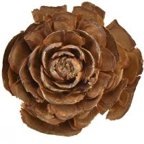 Itens Cones de cedro cortados em forma de rosa cedro rosa 4-6cm natural 50 un
