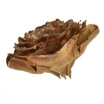 Itens Cones de cedro cortados em forma de rosa cedro rosa 4-6cm natural 50 un