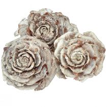 Itens Cones de cedro cortados como rosa cedro rosa 4-6cm branco/natural 50 peças
