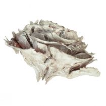 Itens Cones de cedro cortados como rosa cedro rosa 4-6cm branco/natural 50 peças