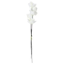 Itens Rosa de Natal em arame, branca, 50 peças