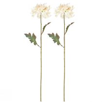 Itens Flores decorativas artificiais de crisântemo creme L72cm 2 unidades