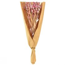 Itens Curry Herb Immortelle Artificial Rosa L28cm 12 un 1 cacho