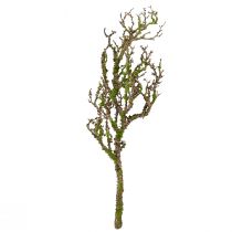 Itens Ramo decorativo com musgo decoração artificial de outono cinza verde L78cm