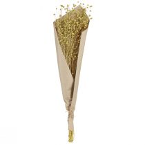 Itens Flores de linho decorativas secas verde-oliva 50g