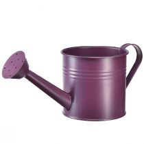 Itens Regador decorativo plantador de metal roxo Ø13,5cm Alt.12,5cm