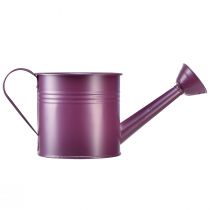 Itens Regador decorativo plantador de metal roxo Ø13,5cm Alt.12,5cm