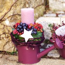 Itens Regador decorativo plantador de metal roxo Ø13,5cm Alt.12,5cm