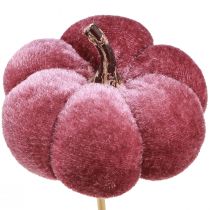 Itens Abóbora decorativa feita de tecido abóbora em palito rosa bordô Ø7cm 9 unid.