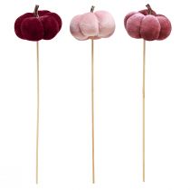 Itens Abóbora decorativa feita de tecido abóbora em palito rosa bordô Ø7cm 9 unid.