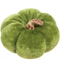 Itens Abóboras decorativas em tecido verde aveludado Ø7cm Alt.4,5cm 9 peças