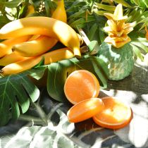 Itens Laranjas Decorativas Fruta Artificial em Pedaços 5–7 cm 10 unidades