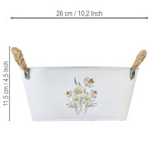Itens Tigela decorativa oval de metal, branca, com estampa floral natural, 26 cm de comprimento.