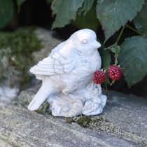 Itens Estatueta decorativa de pássaro pardal em pedra fundida, lavada a branco, altura 12,5 cm