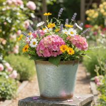 Itens Vaso decorativo com alças, balde para plantas, recipiente de metal, prateado, aço patinado, Ø17cm A16,5cm