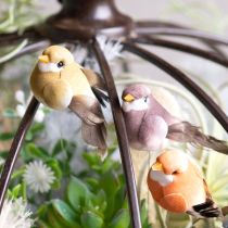 Itens Pássaros decorativos artificiais para decoração de casa, ideais para a primavera, com plumagem colorida feita de penas verdadeiras, 5 cm, 18 peças.