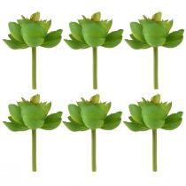 Itens Echeveria Suculentas Artificiais Verde Ø7cm 6 pcs