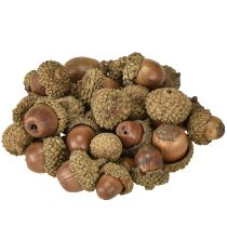 Itens Bolotas para decoração, decoração de outono, frutas naturais de outono Ø1,5 – 2,5cm L1,5 – 3cm 300g