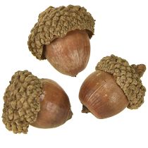Itens Bolotas para decoração, decoração de outono, frutas naturais de outono Ø1,5 – 2,5cm L1,5 – 3cm 300g