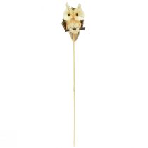 Itens Coruja decorativa flor plugues decoração de outono natural Ø4cm Alt.8cm 4 unidades