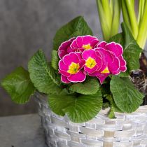 Itens Cesta de vime como elegante decoração floral para a sala de estar. Cesta de Páscoa, 23 cm, 6 peças.