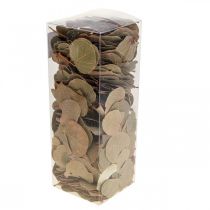 Itens Folhas secas, Moneta decorativa, arranjos florais secos, naturais, 200g