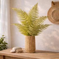 Itens Samambaia seca e preservada. Perfeita para decoração natural da casa. 80 cm