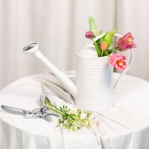 Itens Regador com bico de chuveiro removível. Ideal para plantas de interior e varandas. 32 cm