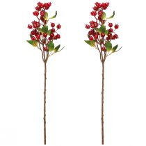 Itens Ramo decorativo de Rosa Mosqueta com frutos vermelhos C60cm 2 un