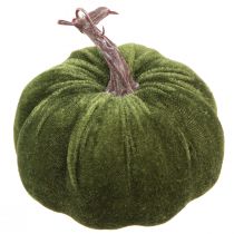 Itens Decoração de outono abóbora verde claro verde escuro Ø13cm 3 unidades
