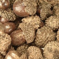 Itens Frutas douradas de outono, decorações festivas de outono, bolotas decorativas naturais, decoração de Advento Ø1,5 – 2,5cm L1,5 – 3cm 300g