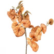 Itens Heuchera Folhas Redondas Plantas Artificiais Outono L66cm