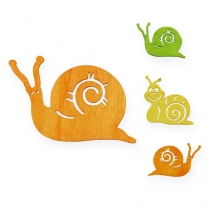 Tipo de caracol de madeira Streudeko 3,5 cm 39 unidades