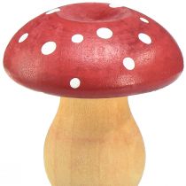 Itens Cogumelos de madeira cogumelos decorativos agáricos mosca de madeira vermelho laranja 5cm 9 un