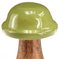 Itens Cogumelos de madeira cogumelos decorativos madeira cinza verde Ø6cm Alt.10cm 2 unidades