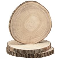 Itens Discos de madeira disco de árvore Paulownia natural Ø26-28cm 3 un