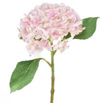 Itens Hortênsia artificial rosa claro flor artificial rosa Ø15,5cm 45cm