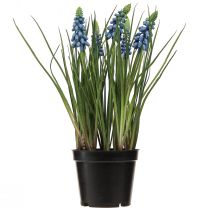 Itens Jacintos artificiais em vaso azul 24cm